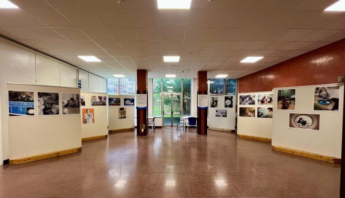 Mostra_1_
