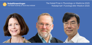 Nobel Medicina a scopritori tolleranza immunologica periferica