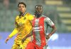 Cremonese e Udinese si dividono la posta