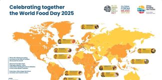 Milano Urban Food Policy Pact, focus su refezione scolastica