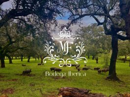 Francesco Di Leo: Tradizione e Innovazione di MF Bodega Ibérica Bodega Iberica - Francesco Di Leo