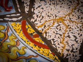 Grani di Pace da Guinnes: un messaggio di speranza al mondo