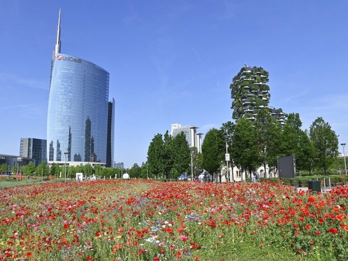 verde2