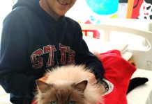 Cat Therapy da Fondazione Royal Canin e Frida’s Friends