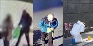 Donna accoltellata in Gae Aulenti, preso aggressore