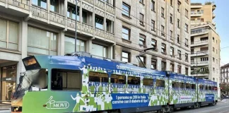 Diabete tipo 1, un passeggero invisibile