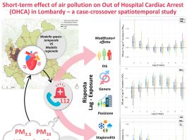 Inquinamento e arresto cardiaco, studio del Politecnico