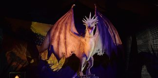 Ultimi giorni per Harry Potter™: The Exhibition