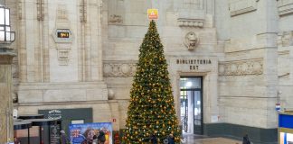 L’Albero dei Desideri in Stazione Centrale