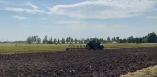 In Lombardia scompaiono i prati da foraggio