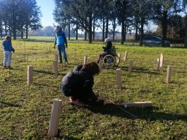 Forestami: 10 nuovi progetti di piantagione in 9 comuni entro primavera 2026