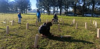 Forestami: 10 nuovi progetti di piantagione in 9 comuni entro primavera 2026