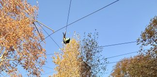 Tram d’Autore: quello firmato Zampetti illumina Milano