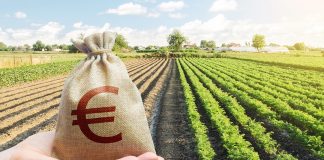 Agricoltura, Regione anticipa 175 milioni di PAC
