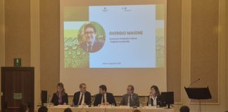 Imprese del terziario investono sempre più in sostenibilità