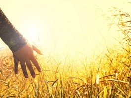 Quale economia come via di pace?, convegno in Cattolica venerdì 16