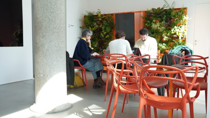 Interno MINT GARDEN CAFE'_Viale Vittorio Veneto 2 - Milano (3)