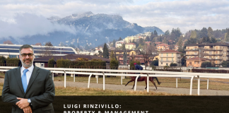 Luigi Rinzivillo: Property & Management