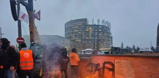 Mercosur, stop da Parlamento Europeo