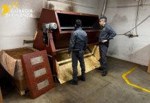 GdF scopre fabbrica abusiva di sigarette a Bergamo