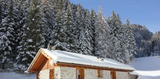 Olimpiadi, Airbnb amplia l’assistenza in Italia in vista dei Giochi