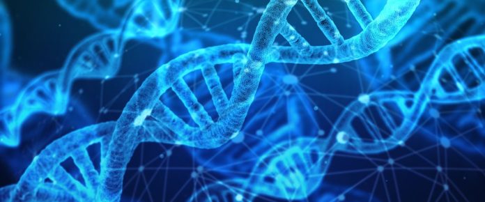 frrb-slide-4007-1765803322