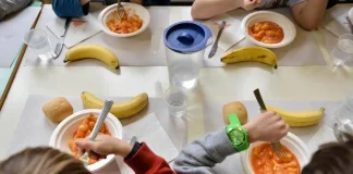 Mensa scolastica, 12 bambini intossicati