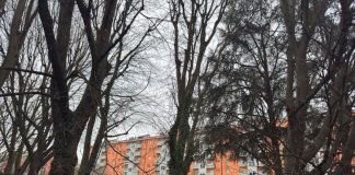 Via Ugo Betti, il comune sceglie il verde