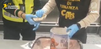 GdF sequestra corallo a rischio estinzione a Malpensa