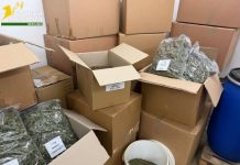Droga, 6 arresti GdF a Varese