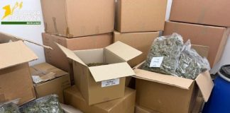 Droga, 6 arresti GdF a Varese