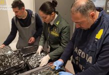 Droga, GdF arresta americana con 17 kg di marijuana a Malpensa