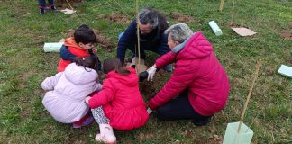 Forestami – A Gessate con i bambini della Scuola dell’infanzia Lattuada