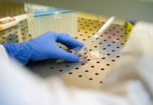 La luce come alleato contro le aritmie cardiache, ricerca Università Bicocca