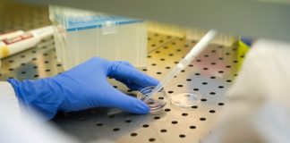 La luce come alleato contro le aritmie cardiache, ricerca Università Bicocca