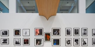 Il ritmo dell’occhio, mostra su Don Bronstein in Triennale