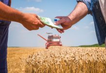 Agricoltura, Finlombarda attiva altri 25 milioni