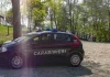 Ragazza di 22 anni trovata morta in un campo nel pavese