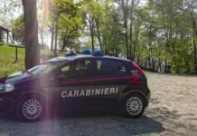 Ragazza di 22 anni trovata morta in un campo nel pavese