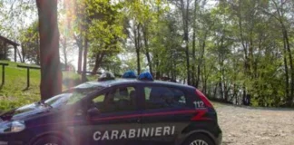 Ragazza di 22 anni trovata morta in un campo nel pavese
