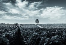 UniCredit celebra territorio, eccellenze e sostenibilità a Ca’ del Bosco