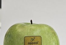 Etichette commestibili per frutta e verdura: l’invenzione del Politecnico di Milano che elimina la plastica