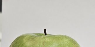 Etichette commestibili per frutta e verdura: l’invenzione del Politecnico di Milano che elimina la plastica