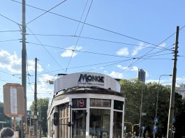 Tram d’autore Monge porta a spasso la Milano pet friendly