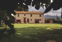 Sapaio, l’eleganza lenta di Bolgheri tra mare, tempo e identità Sapaio_foto1_Podere