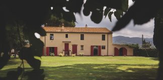 Sapaio, l’eleganza lenta di Bolgheri tra mare, tempo e identità Sapaio_foto1_Podere