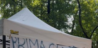 Festival dei Giovani di Canottaggio 2025: torna il Contest degli Striscioni per le società lombarde