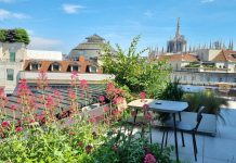 HORTO, il ristorante guidato dalla filosofia de “L’Ora Etica” Horto Ristorante Milano