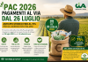 Pac 2026, pagamenti al via dal 26 luglio: anticipo storico fino al 75% per gli agricoltori