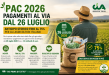 Pac 2026, pagamenti al via dal 26 luglio: anticipo storico fino al 75% per gli agricoltori
